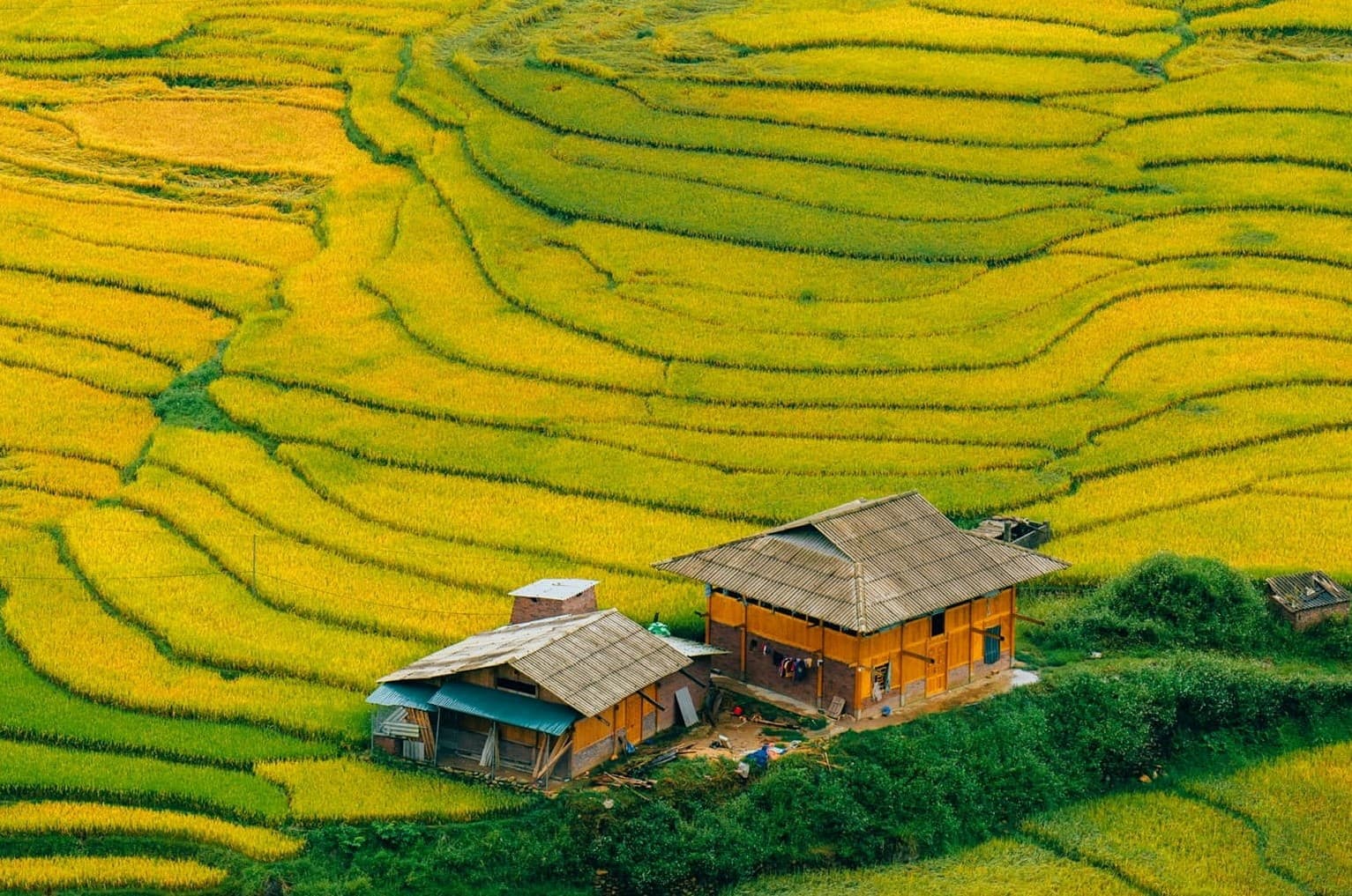 Ruộng bậc thang